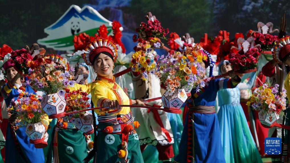 八人排九牌下载